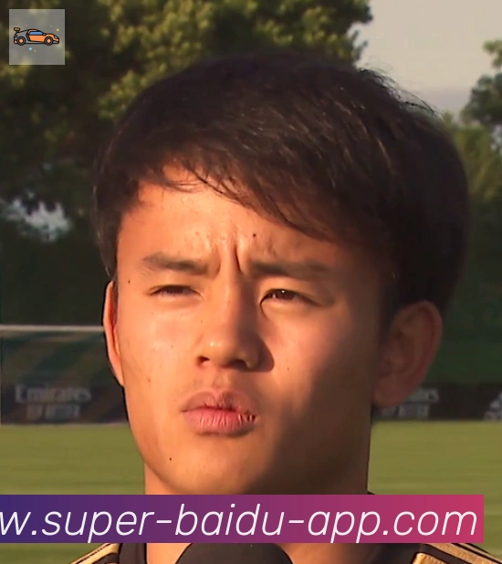 维尼修斯